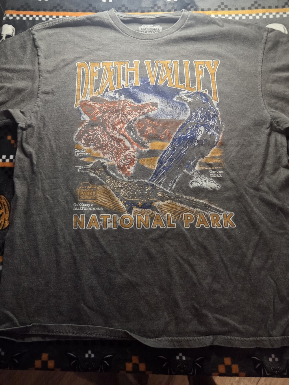 Death Valley National Park Graphic Tee - Gray with Orange & Blue Print